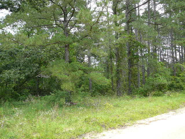 1040 Deer Trail Road Santee, SC 29142 - Photo 3 of 8 1040 Deer Trail