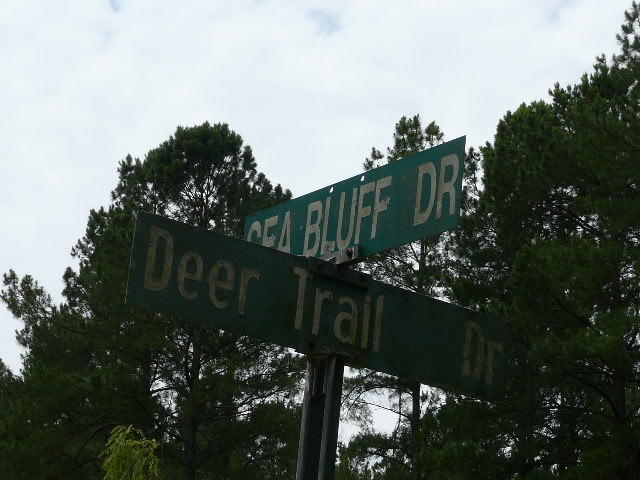 1040 Deer Trail Road Santee, SC 29142 - Photo 5 of 8 Corner Lot