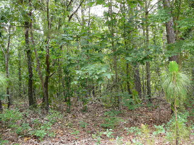 1040 Deer Trail Road Santee, SC 29142 - Photo 7 of 8 1040 Deer Trail