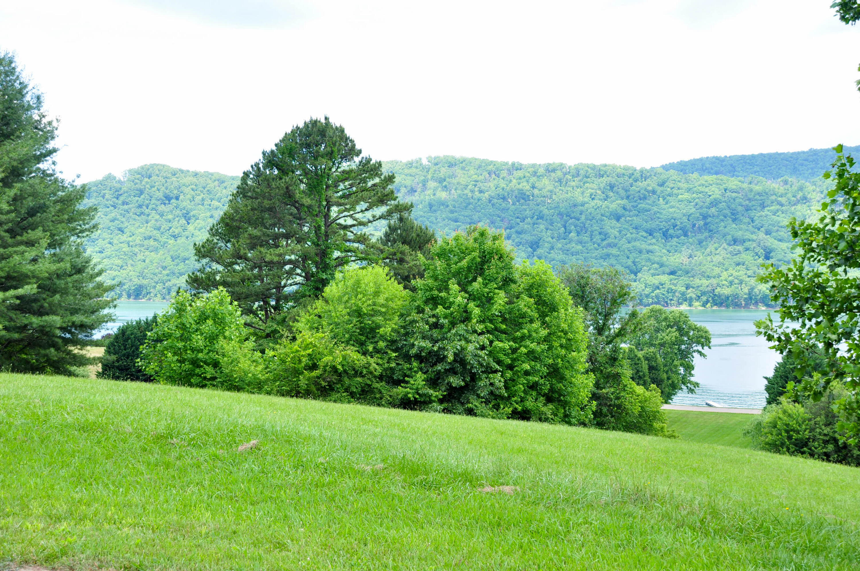 Lot 29 Harbour View Road, Unit 29 Butler, TN 37640 - Photo 14 of 21 DSC_5505