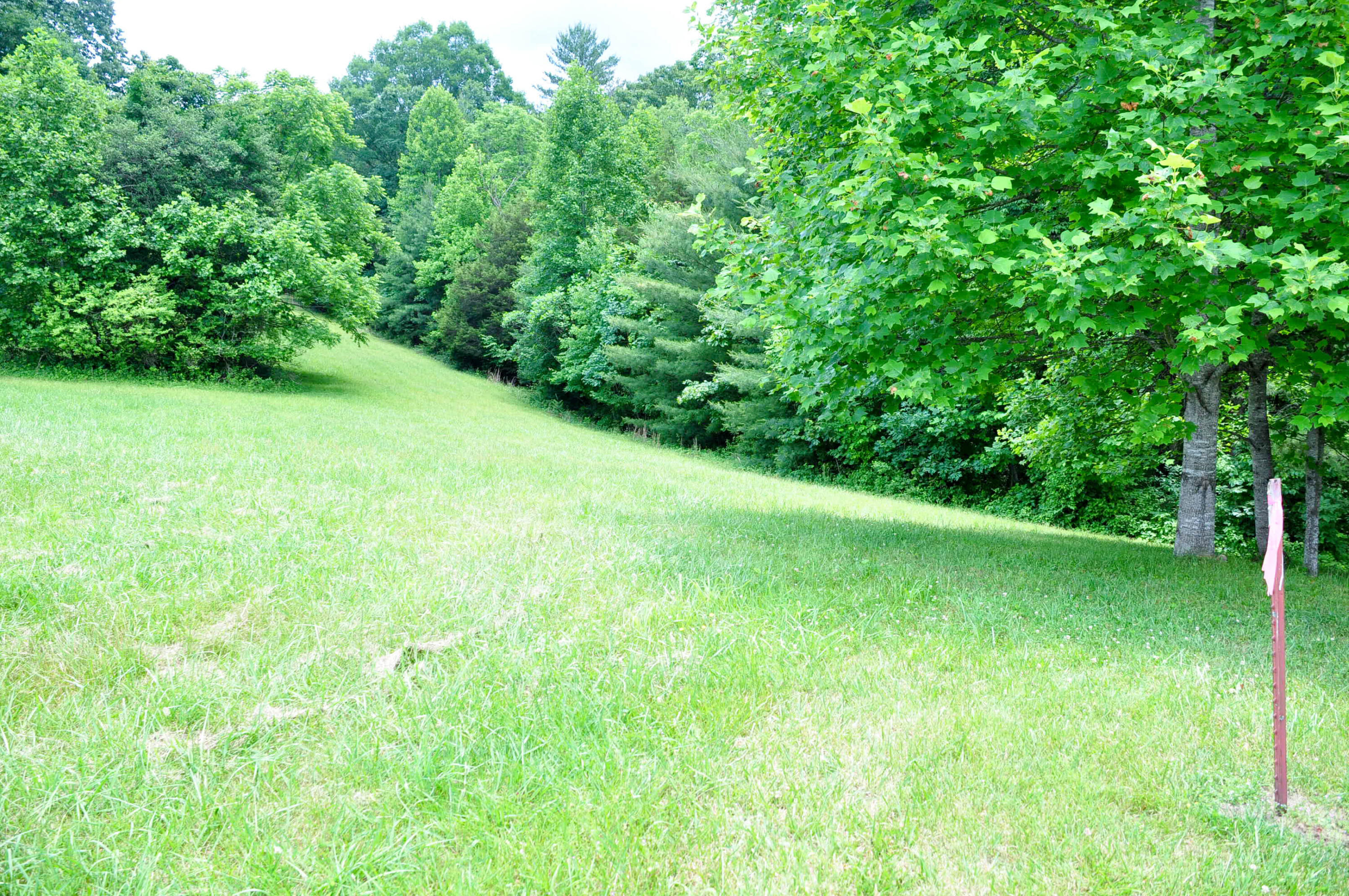 Lot 29 Harbour View Road, Unit 29 Butler, TN 37640 - Photo 4 of 21 DSC_5479