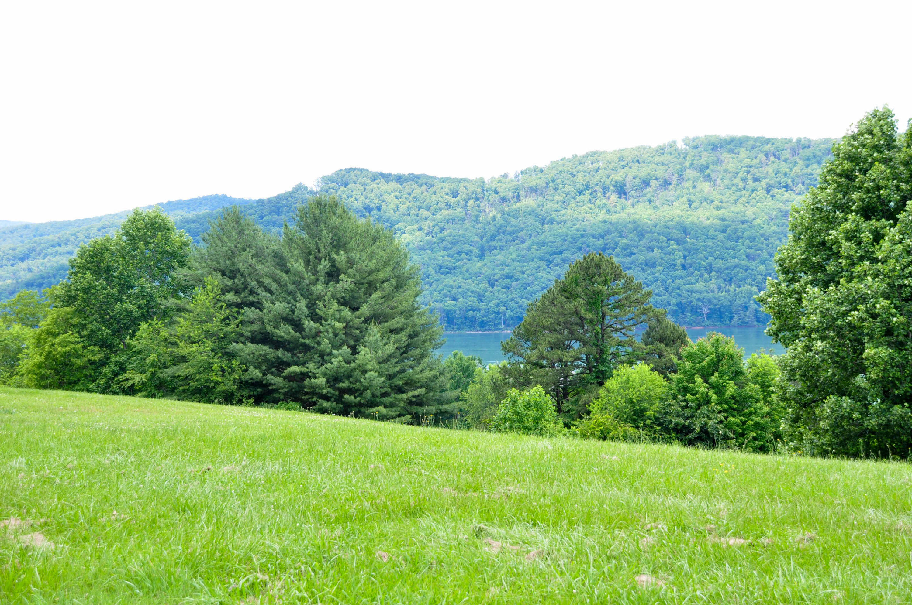 Lot 29 Harbour View Road, Unit 29 Butler, TN 37640 - Photo 7 of 21 DSC_5472