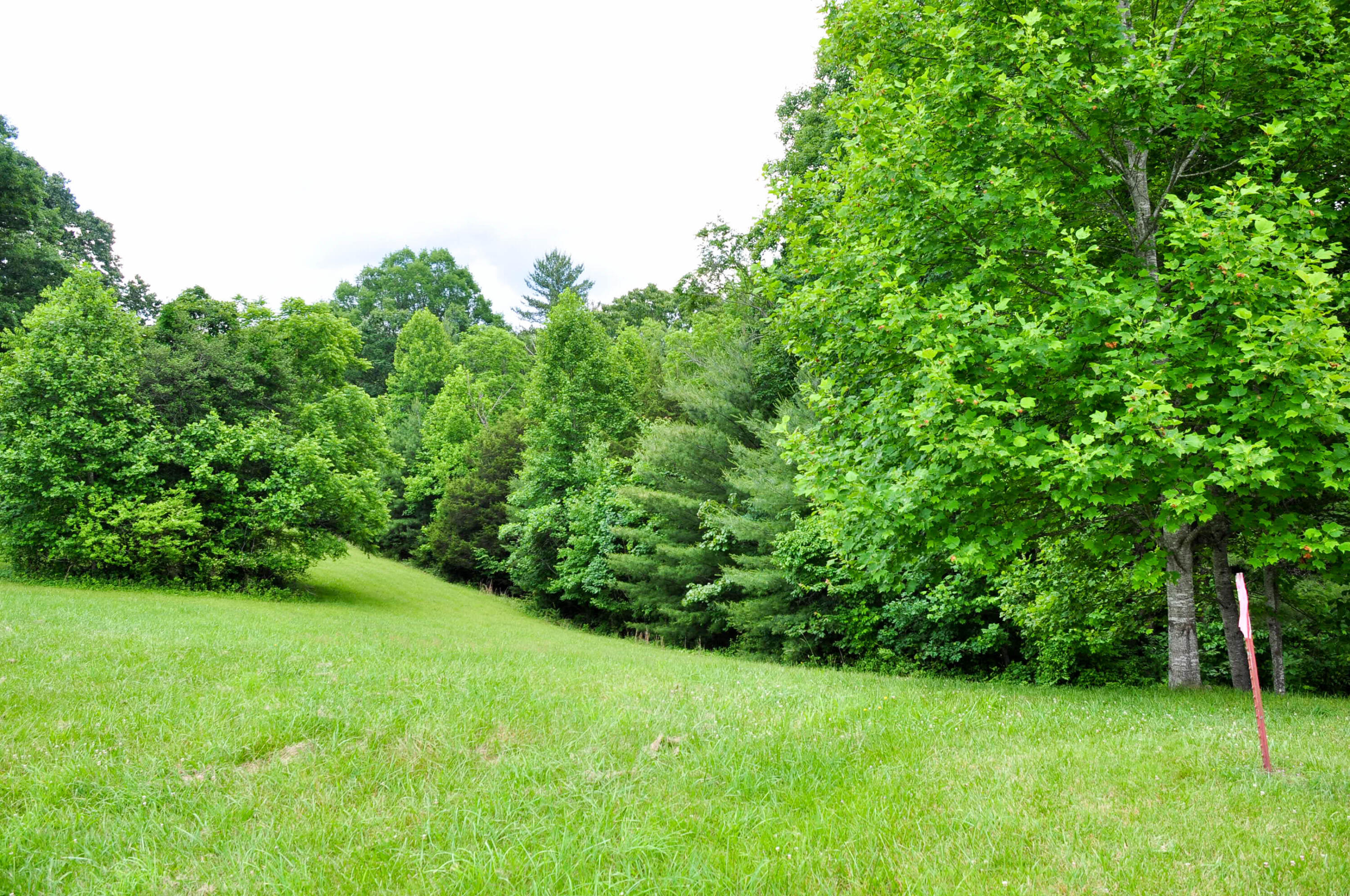 Lot 29 Harbour View Road, Unit 29 Butler, TN 37640 - Photo 9 of 21 DSC_5491