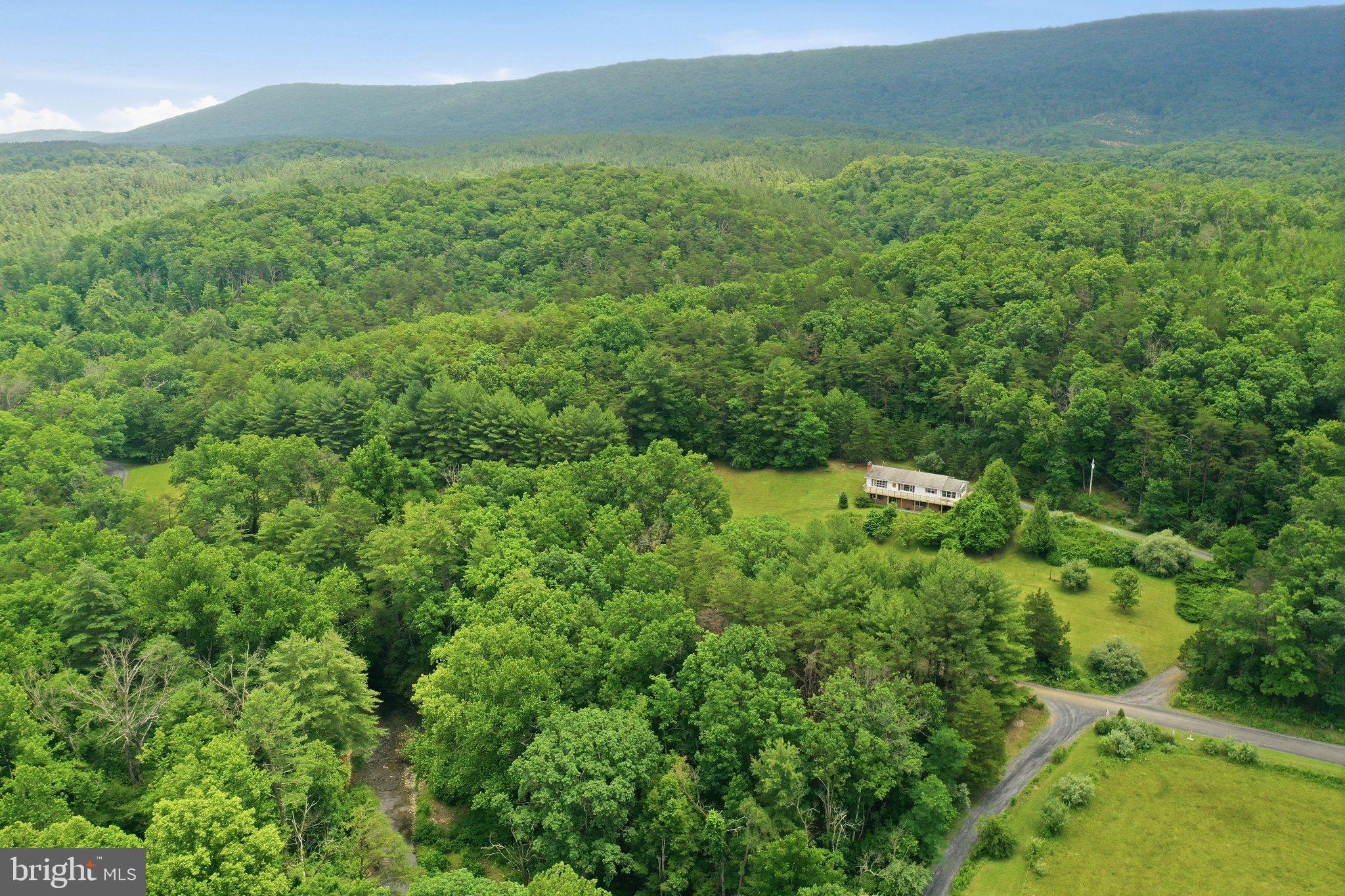 3704 Cedar Creek Road Star Tannery, VA 22654 - Photo 36 of 46