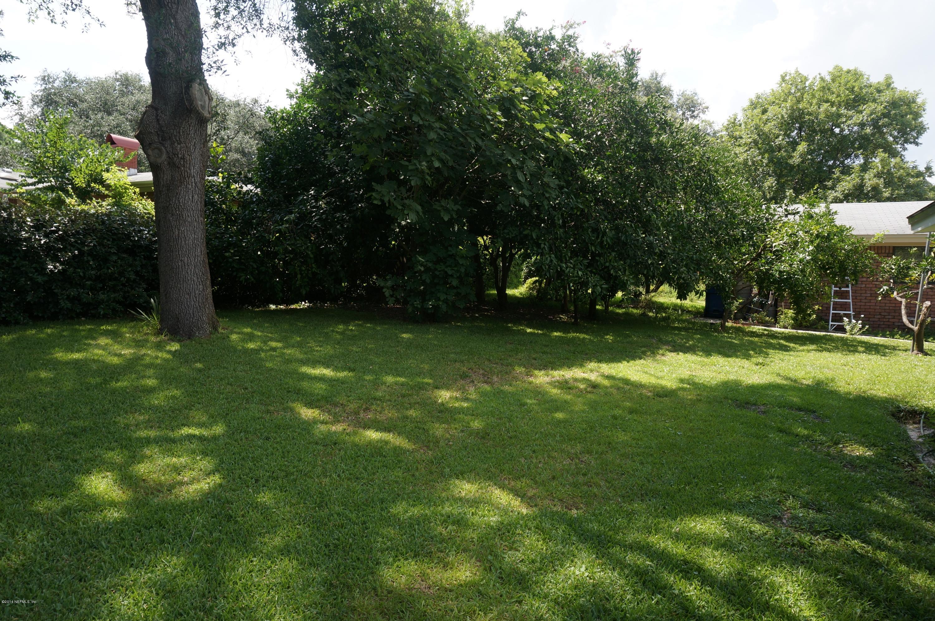 1306 Alderman Road Jacksonville, FL 32211 - Photo 54 of 55 Backyard
