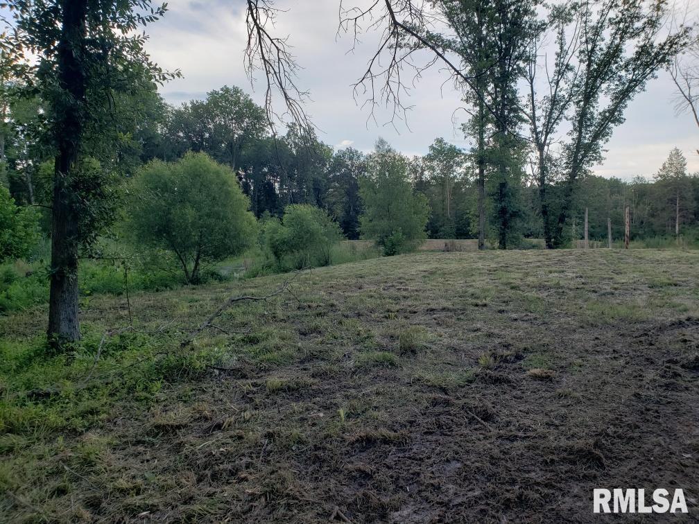 0 East Davis Road Bonnie, IL 62816 - Photo 1 of 21