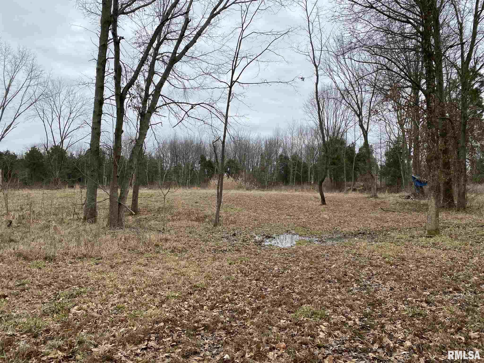 0 East Davis Road Bonnie, IL 62816 - Photo 11 of 21