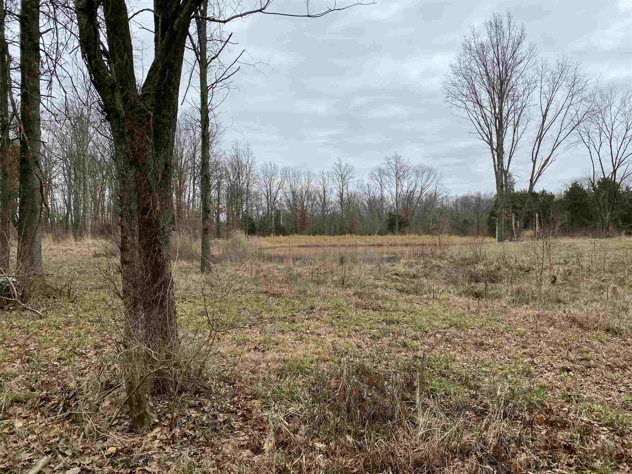 0 East Davis Road Bonnie, IL 62816 - Photo 12 of 21