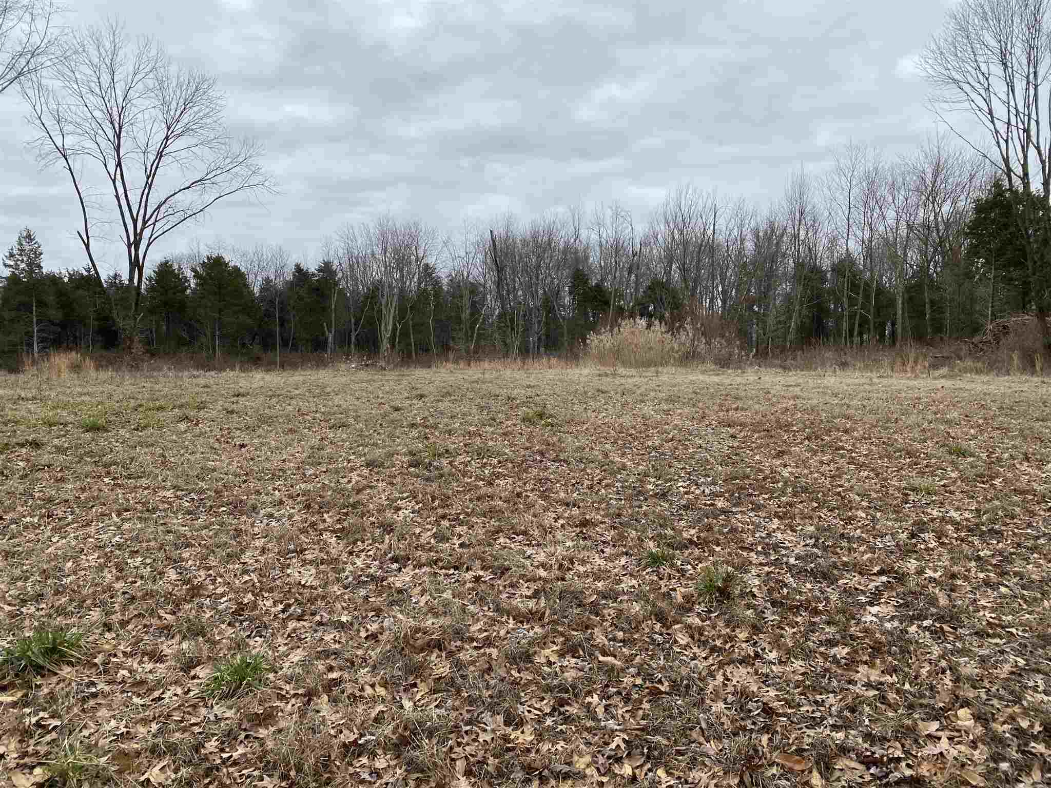 0 East Davis Road Bonnie, IL 62816 - Photo 13 of 21