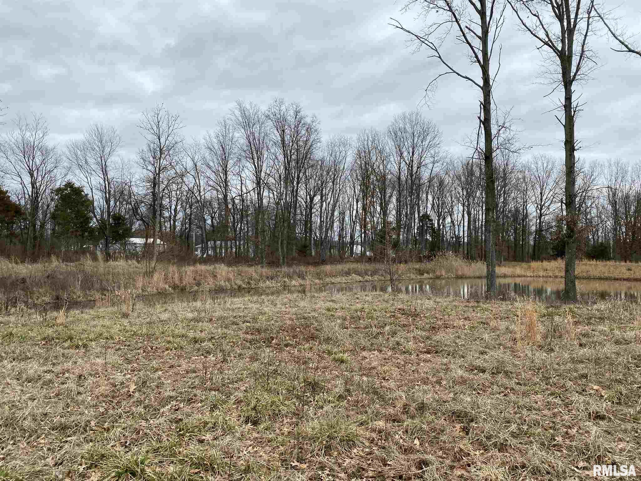 0 East Davis Road Bonnie, IL 62816 - Photo 14 of 21