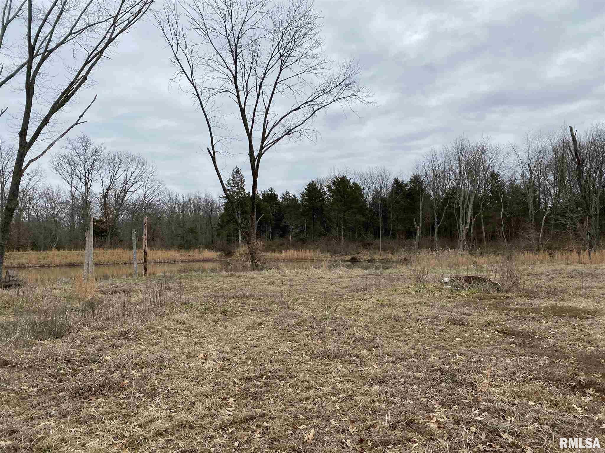 0 East Davis Road Bonnie, IL 62816 - Photo 15 of 21