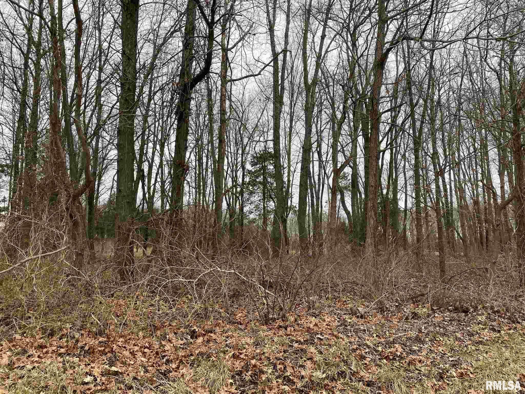0 East Davis Road Bonnie, IL 62816 - Photo 16 of 21