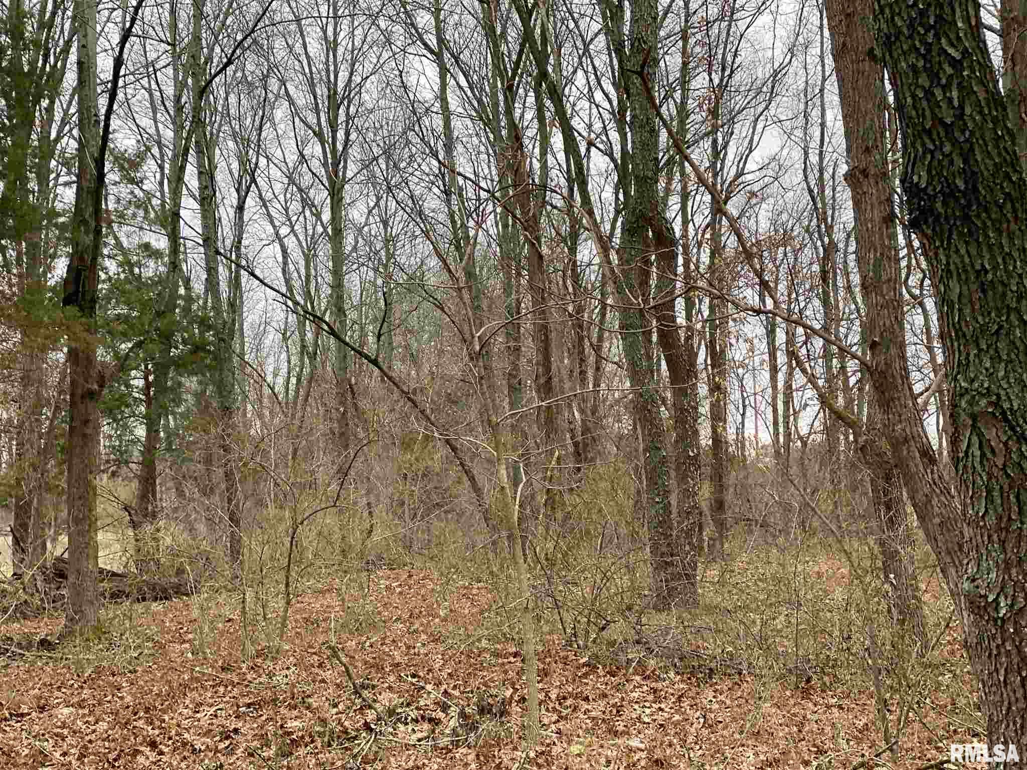 0 East Davis Road Bonnie, IL 62816 - Photo 17 of 21