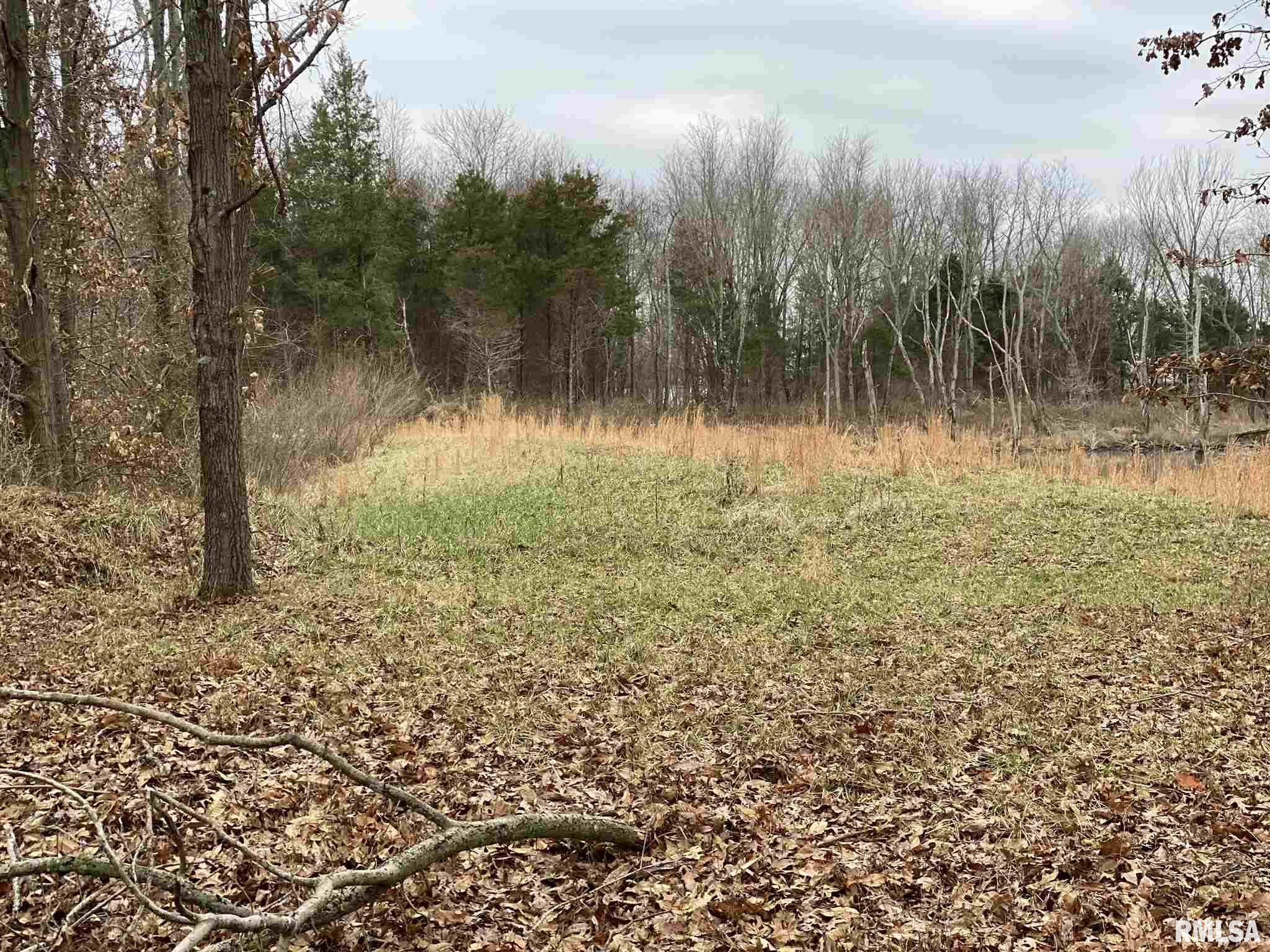 0 East Davis Road Bonnie, IL 62816 - Photo 18 of 21