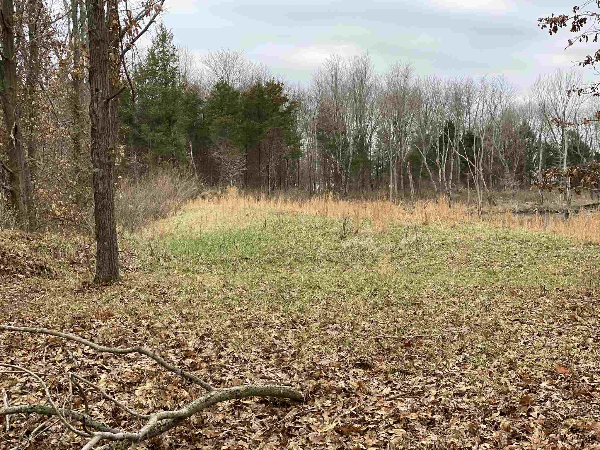 0 East Davis Road Bonnie, IL 62816 - Photo 19 of 21