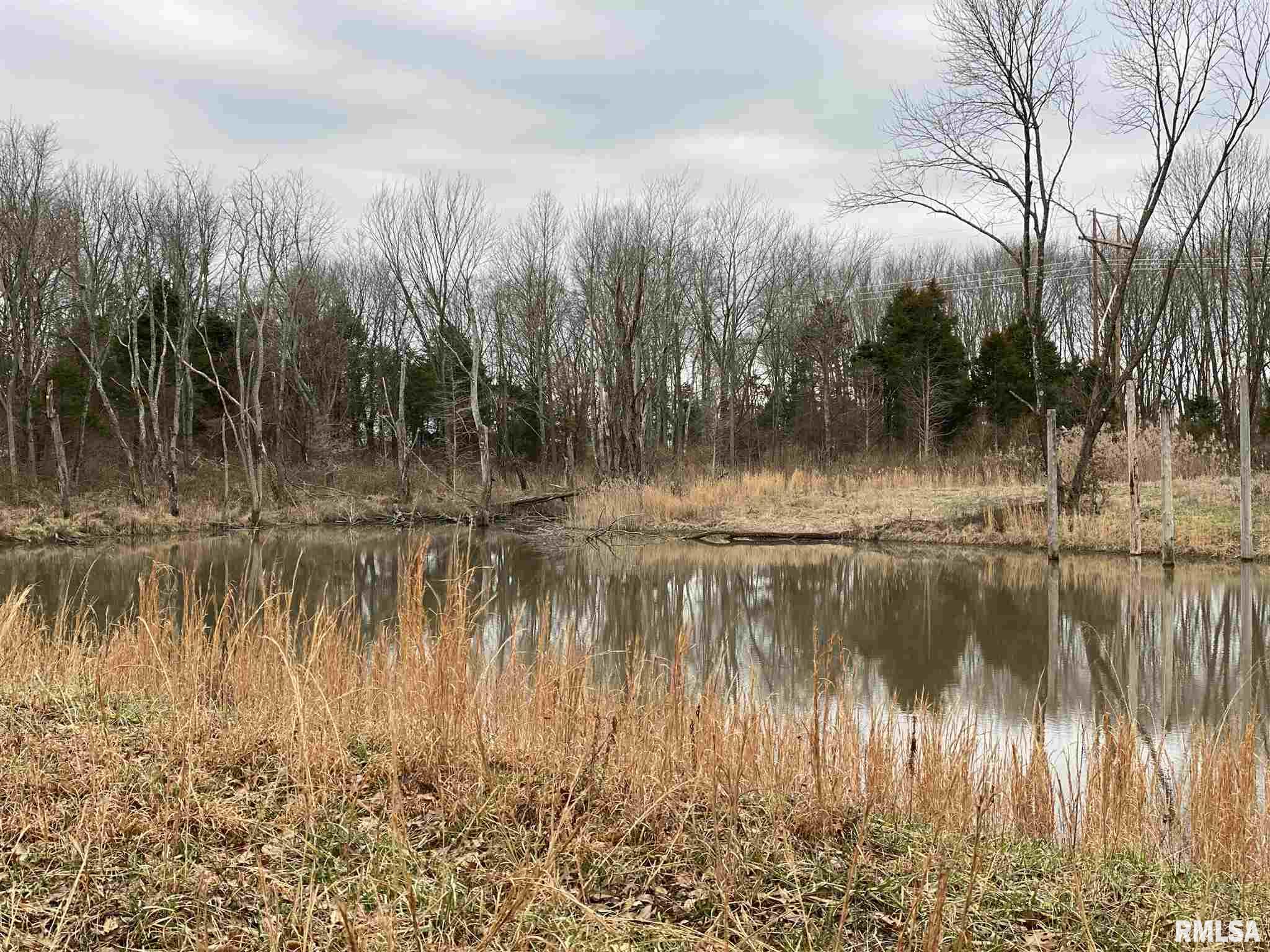 0 East Davis Road Bonnie, IL 62816 - Photo 20 of 21