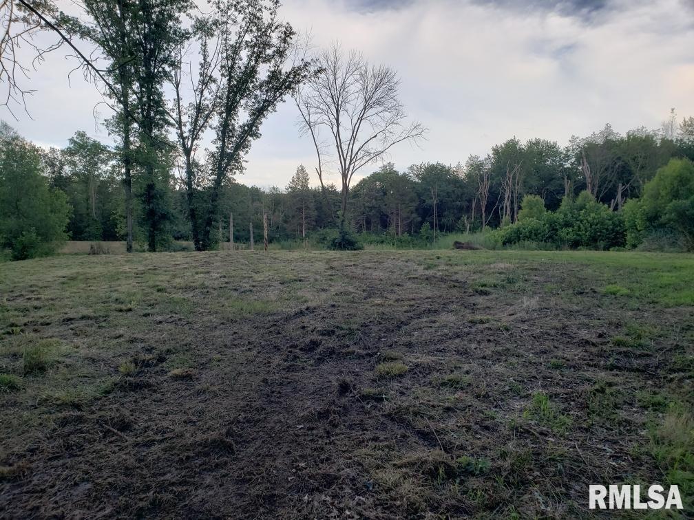 0 East Davis Road Bonnie, IL 62816 - Photo 2 of 21
