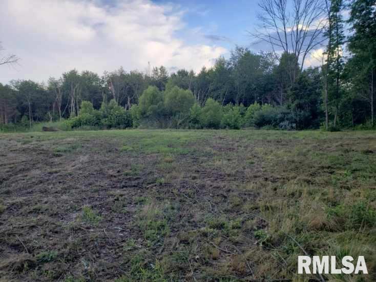 0 East Davis Road Bonnie, IL 62816 - Photo 3 of 21