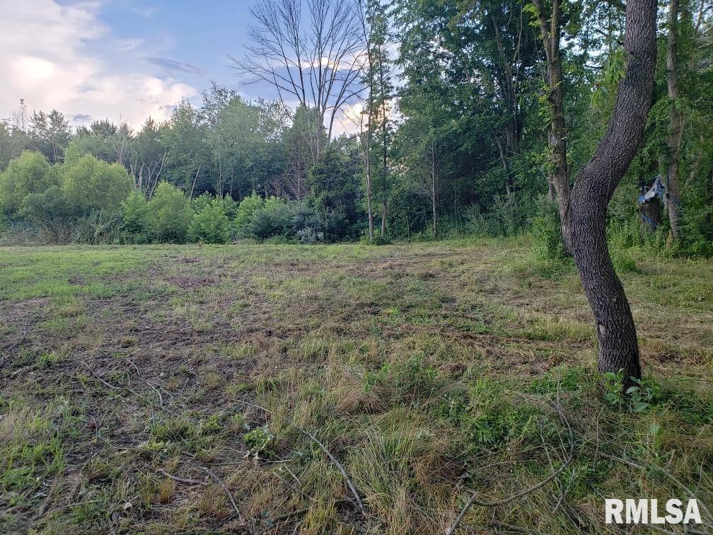 0 East Davis Road Bonnie, IL 62816 - Photo 4 of 21
