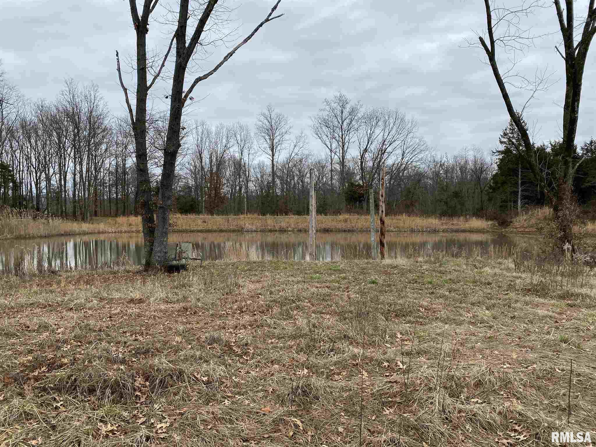 0 East Davis Road Bonnie, IL 62816 - Photo 7 of 21