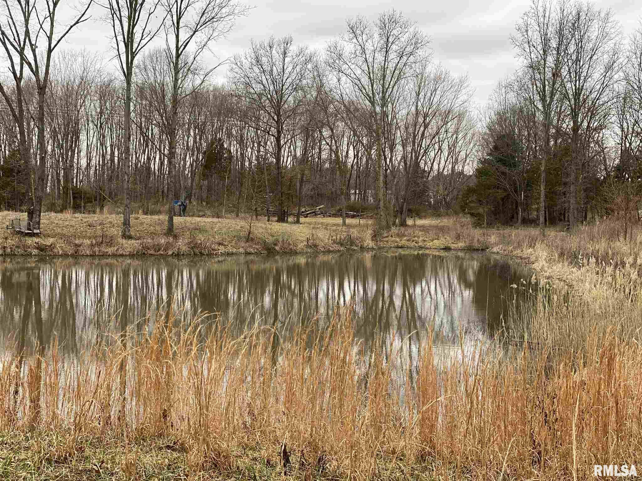 0 East Davis Road Bonnie, IL 62816 - Photo 8 of 21