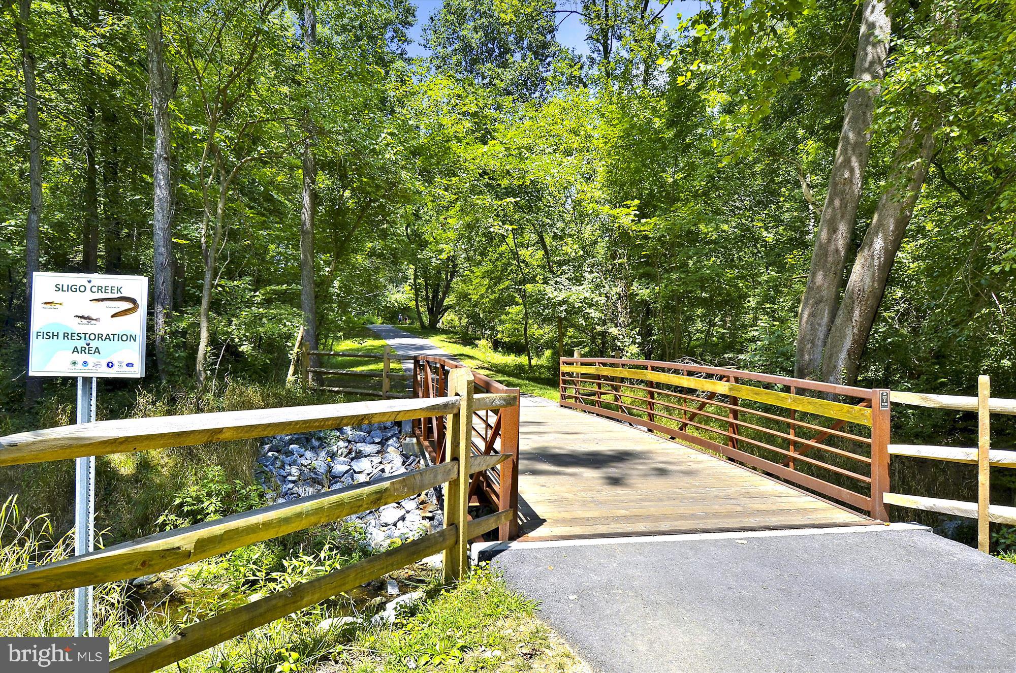 2735 Linden Lane Silver Spring, MD 20910 - Photo 73 of 92 Sligo Creek Park