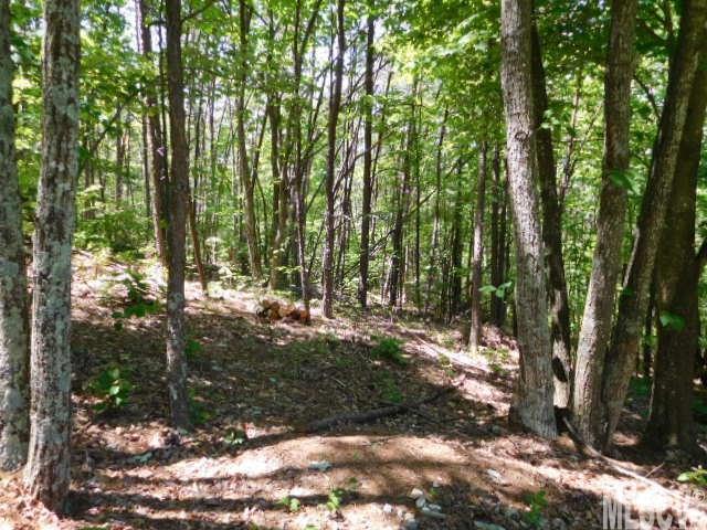 3723 Methodist Park Road Valdese, NC 28690 - Photo 18 of 25