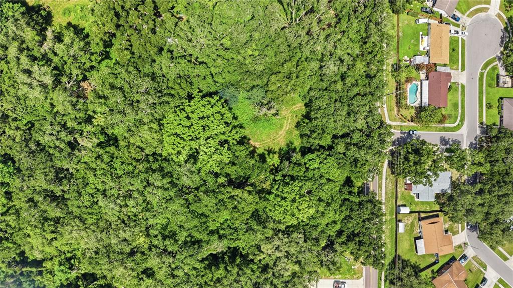 11211 Clay Pit Road Seffner, FL 33584 - Photo 8 of 23
