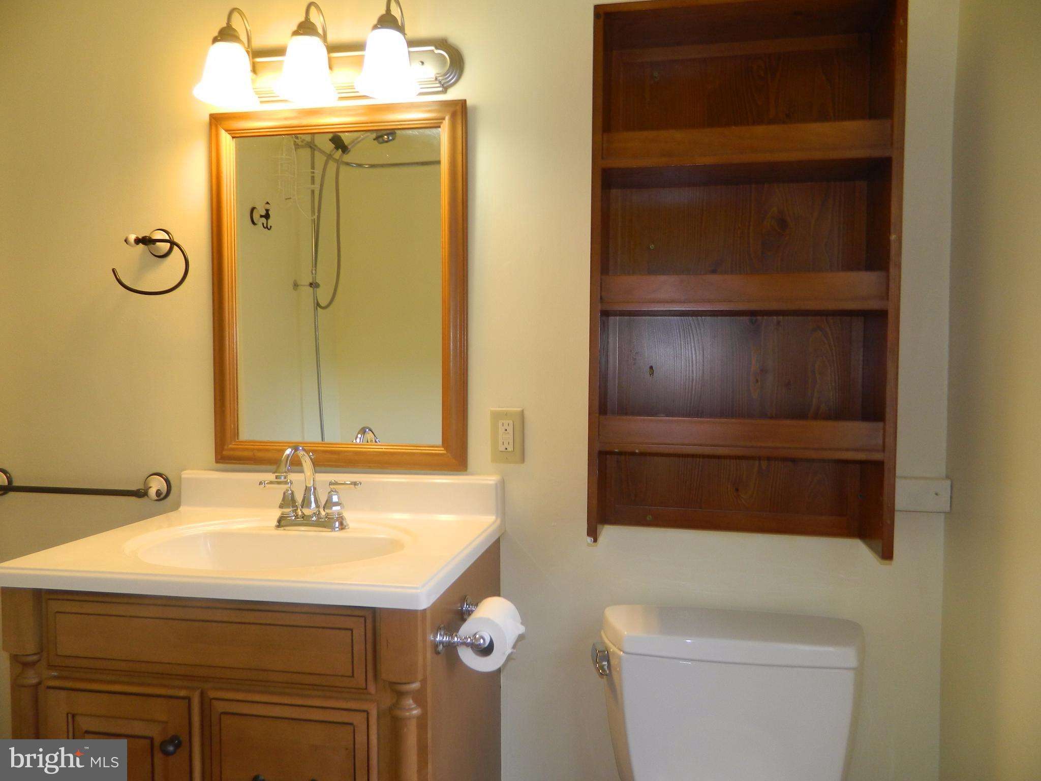 1601 Freeland Road Freeland, MD 21053 - Photo 17 of 29 a bathroom with a sink a toilet and shower