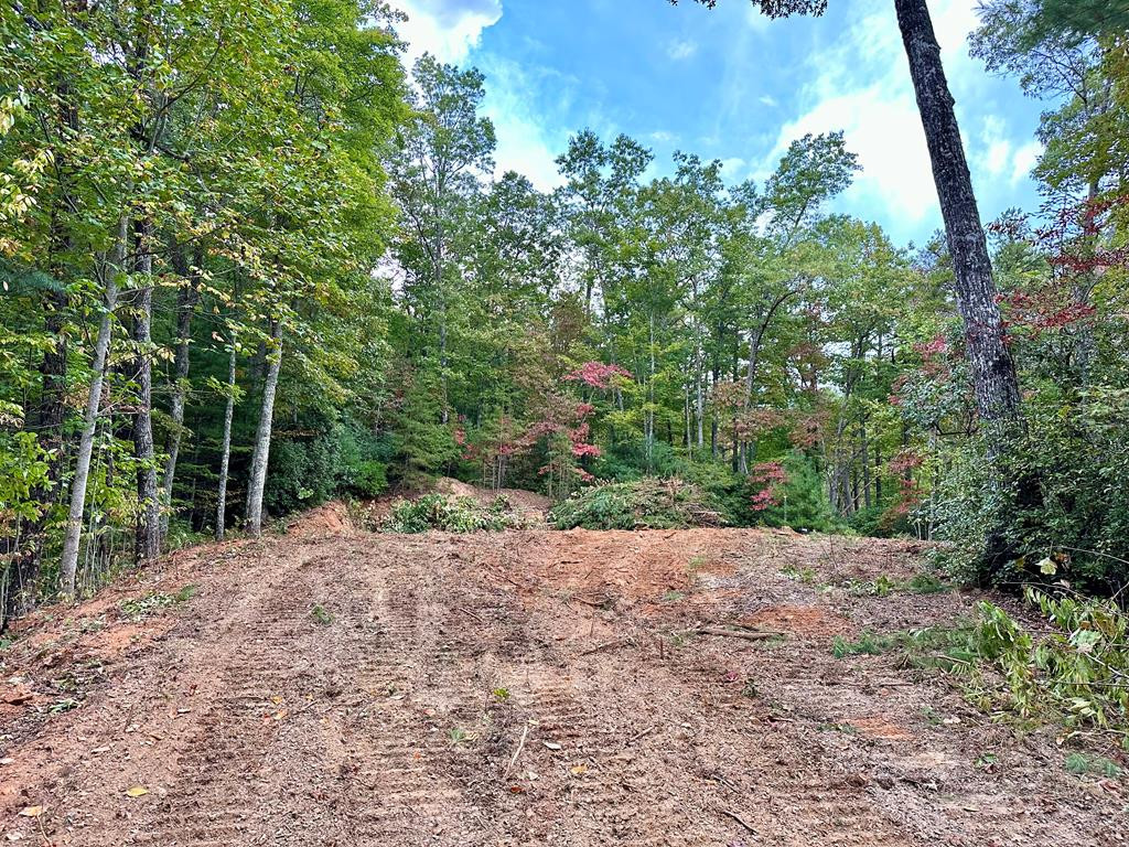 3.69-ac Atoah Loop Murphy, NC 28906 - Photo 16 of 28 Gallery Image 16