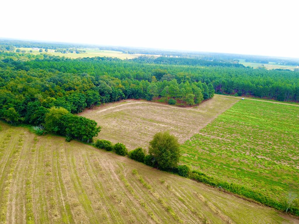 10.69-acres Summer Road Slocomb, AL 36375 - Photo 39 of 51