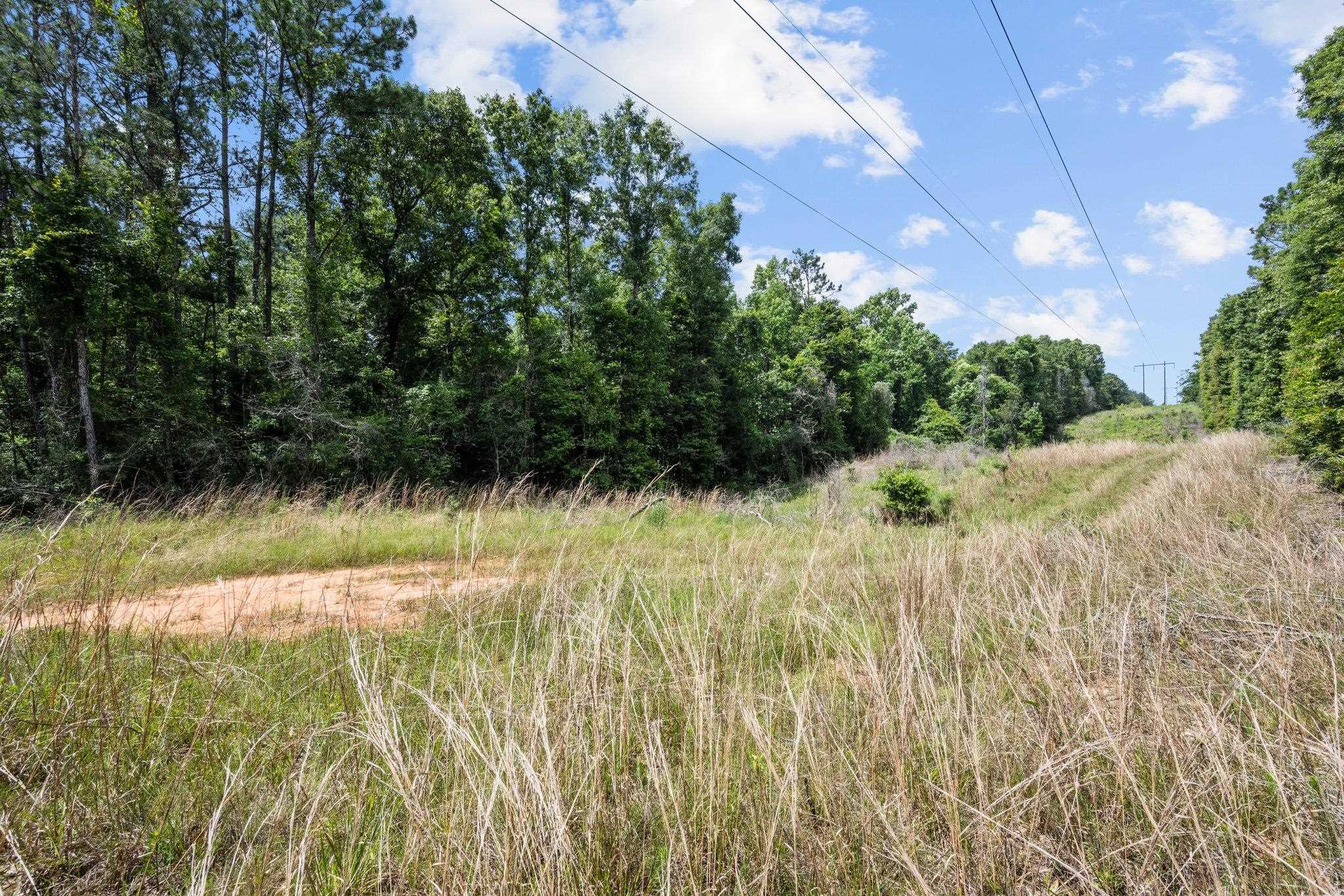 50375 Old Jack Springs Road Bay Minette, AL 36507 - Photo 4 of 15