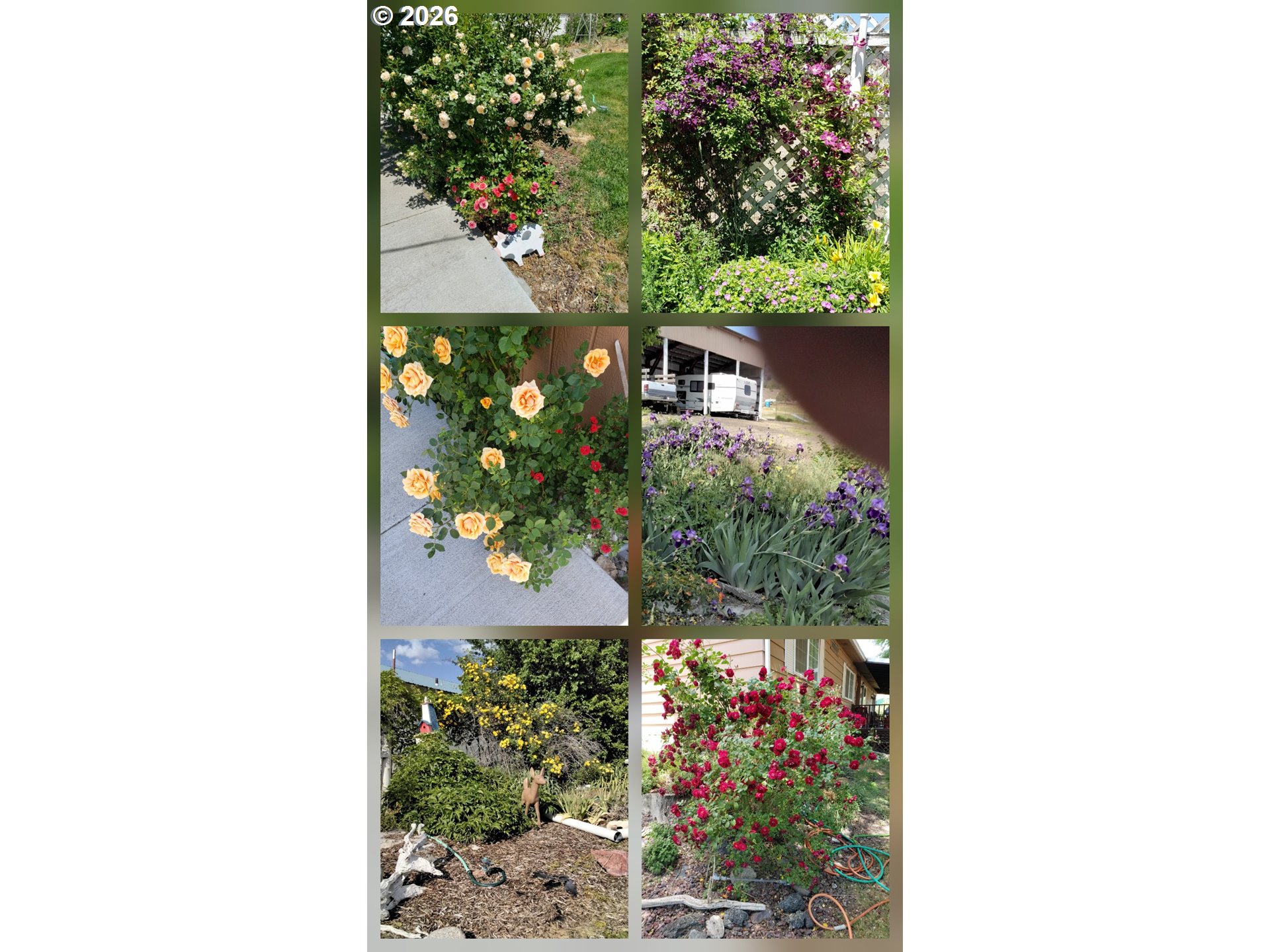 303 Pine Avenue Spray, OR 97874 - Photo 34 of 37