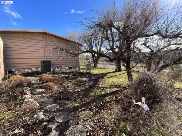a view of backyard of the house