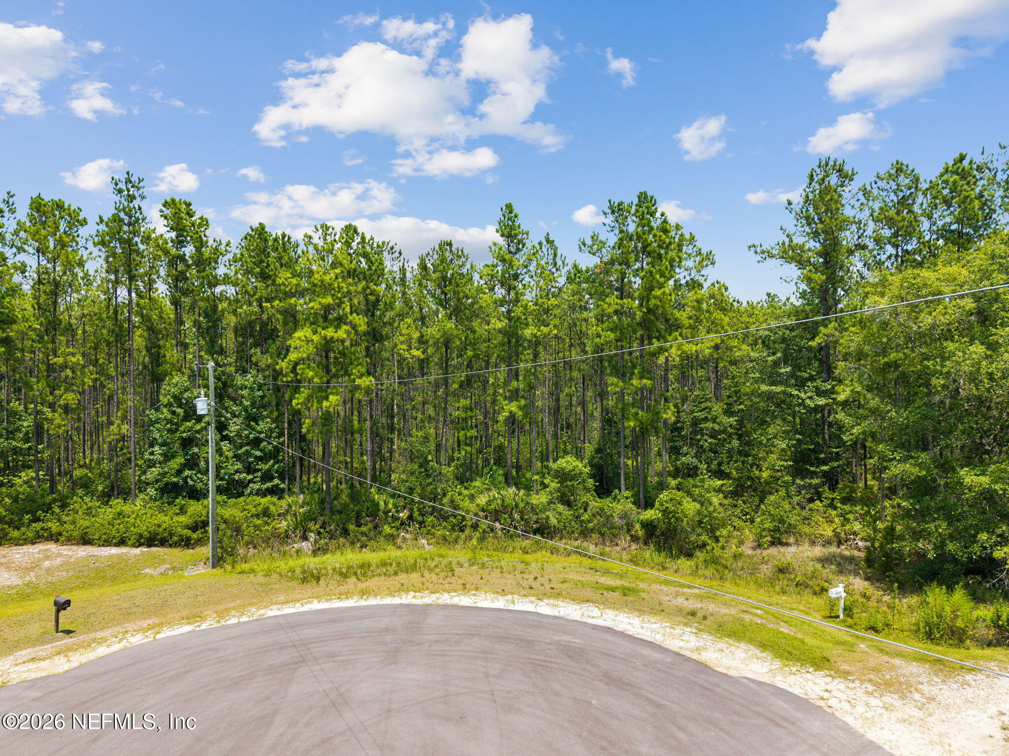 36014 Purebread Court Callahan, FL 32011 - Photo 11 of 32 Located on Cul de Sac