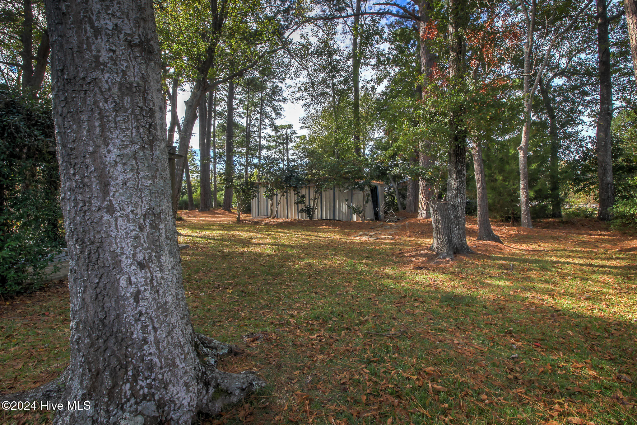 705 Robin Road Morehead City, NC 28557 - Photo 49 of 51 shed