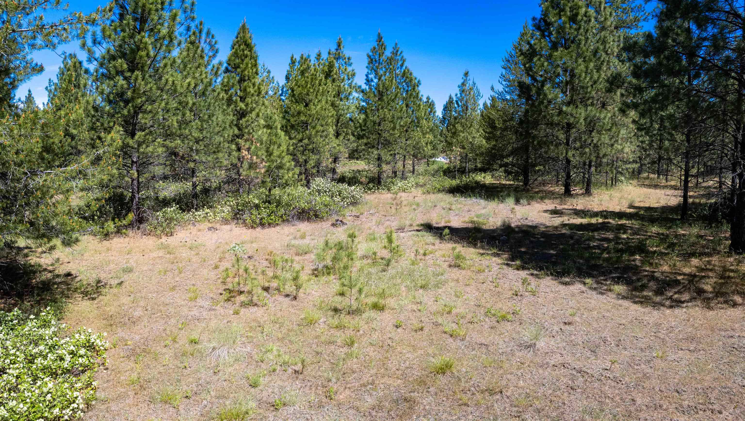 29-xxx North Hardesty Road Chattaroy, WA 99003 - Photo 37 of 40
