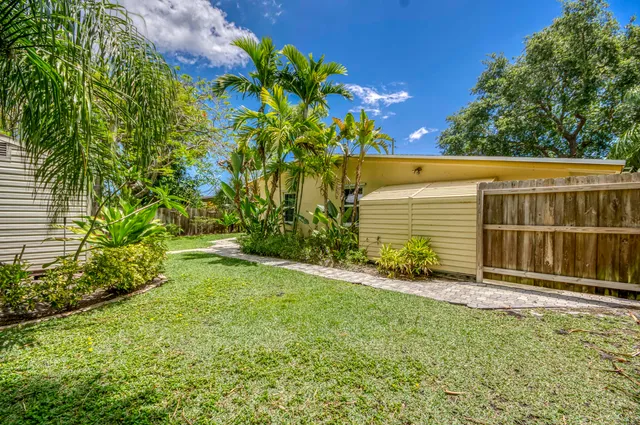 a view of a backyard with plants and large trees