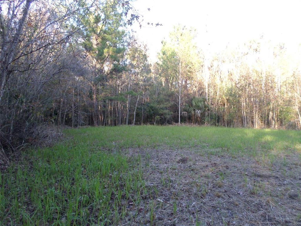 0 Possum Road Astor, FL 32102 - Photo 1 of 1 Gallery Image 1