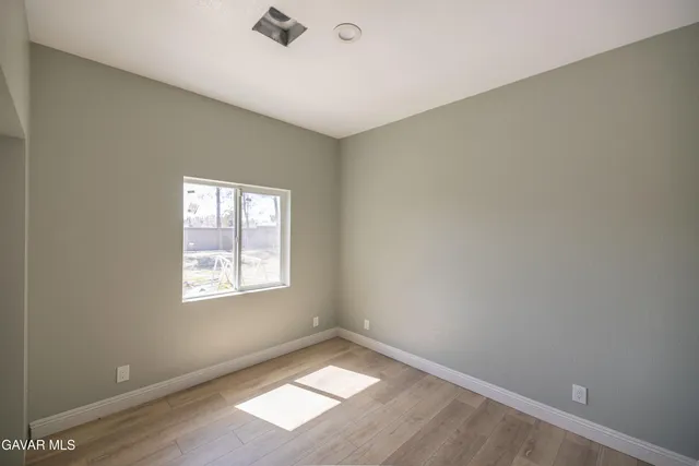 a view of a yard with plants and trees