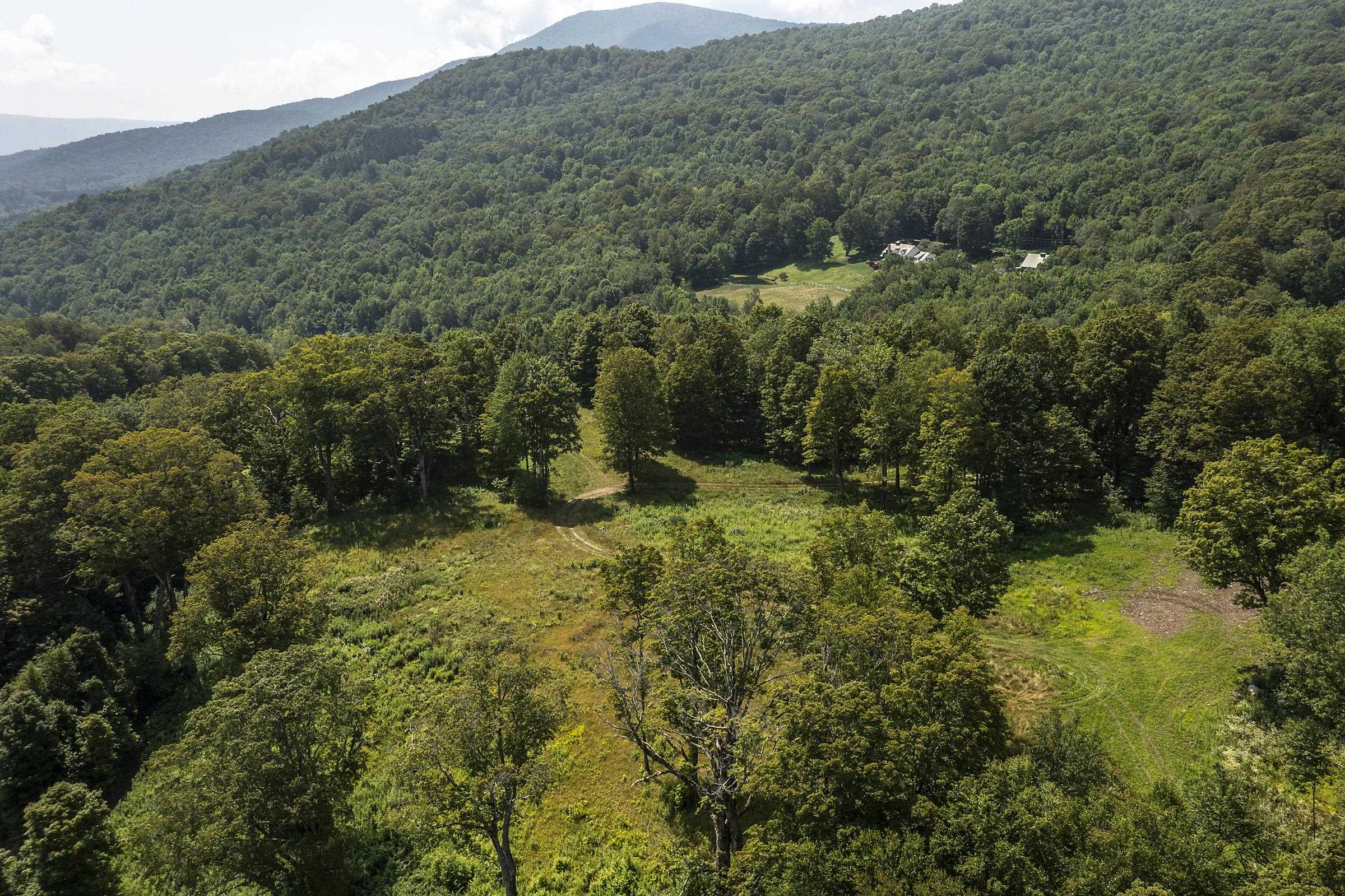 500 Nims Road, Unit LOT #2 Dorset, VT 05251 - Photo 7 of 47