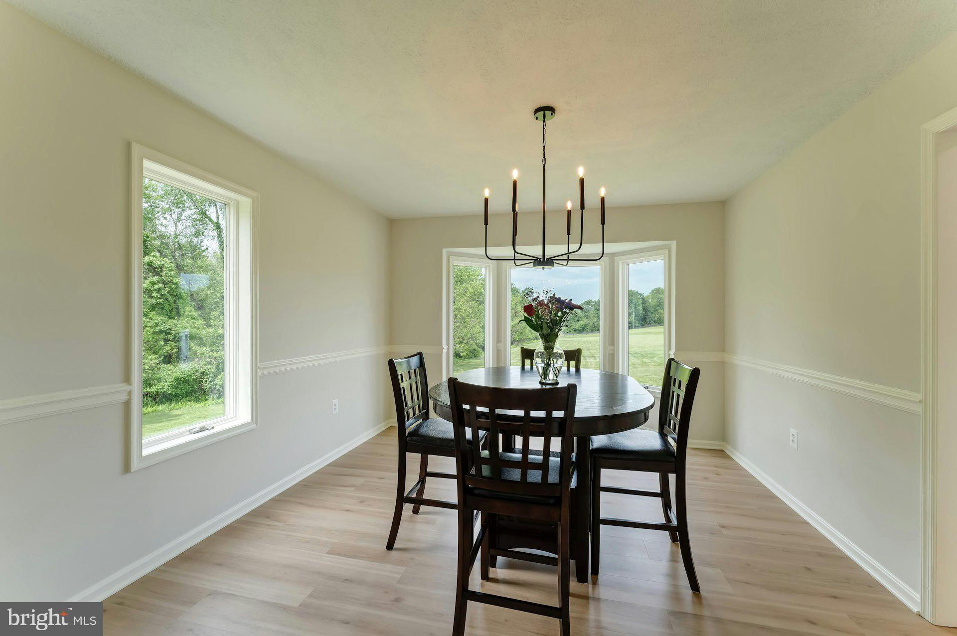 17045 Hamilton Station Road Hamilton, VA 20158 - Photo 22 of 81 Dining room off kitchen with new light fixture