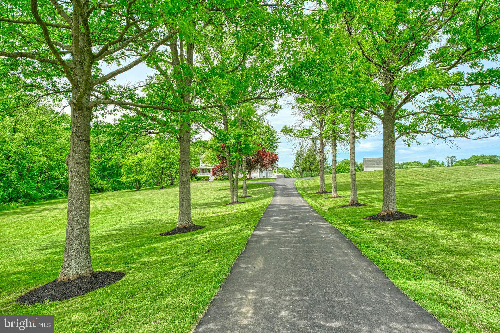 17045 Hamilton Station Road Hamilton, VA 20158 - Photo 5 of 81 Tree lined driveway