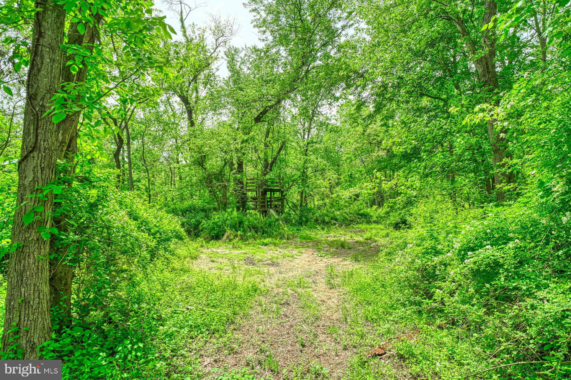 17045 Hamilton Station Road Hamilton, VA 20158 - Photo 73 of 81 Gallery Image 73