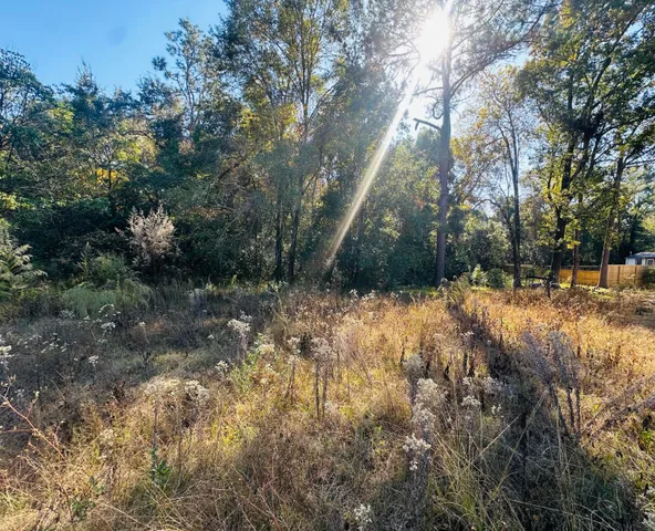 $32,500 | Tbd Douglass Avenue, DeFuniak Springs, FL 32435