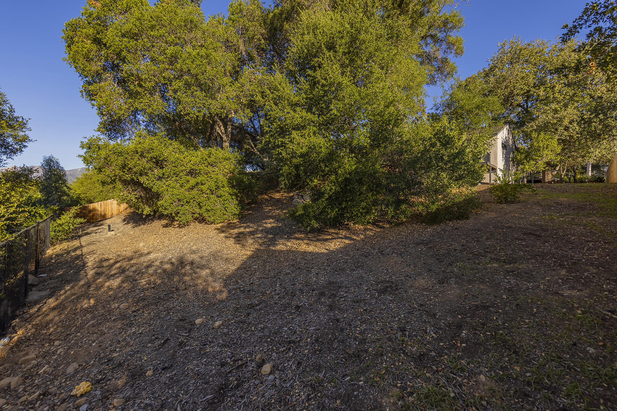 1068 Cuyama Road Ojai, CA 93023 - Photo 41 of 43 a view of a yard with a tree