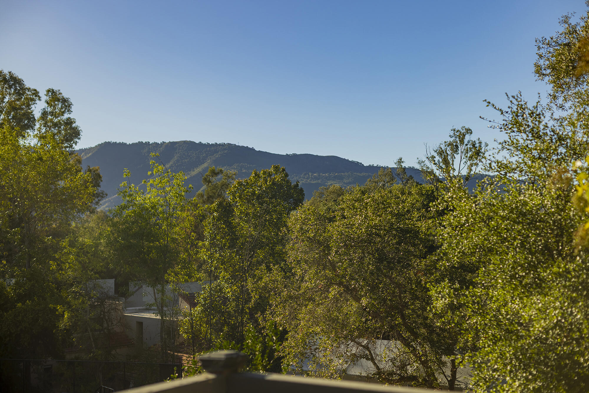 1068 Cuyama Road Ojai, CA 93023 - Photo 43 of 43 a view of a forest with a mountain