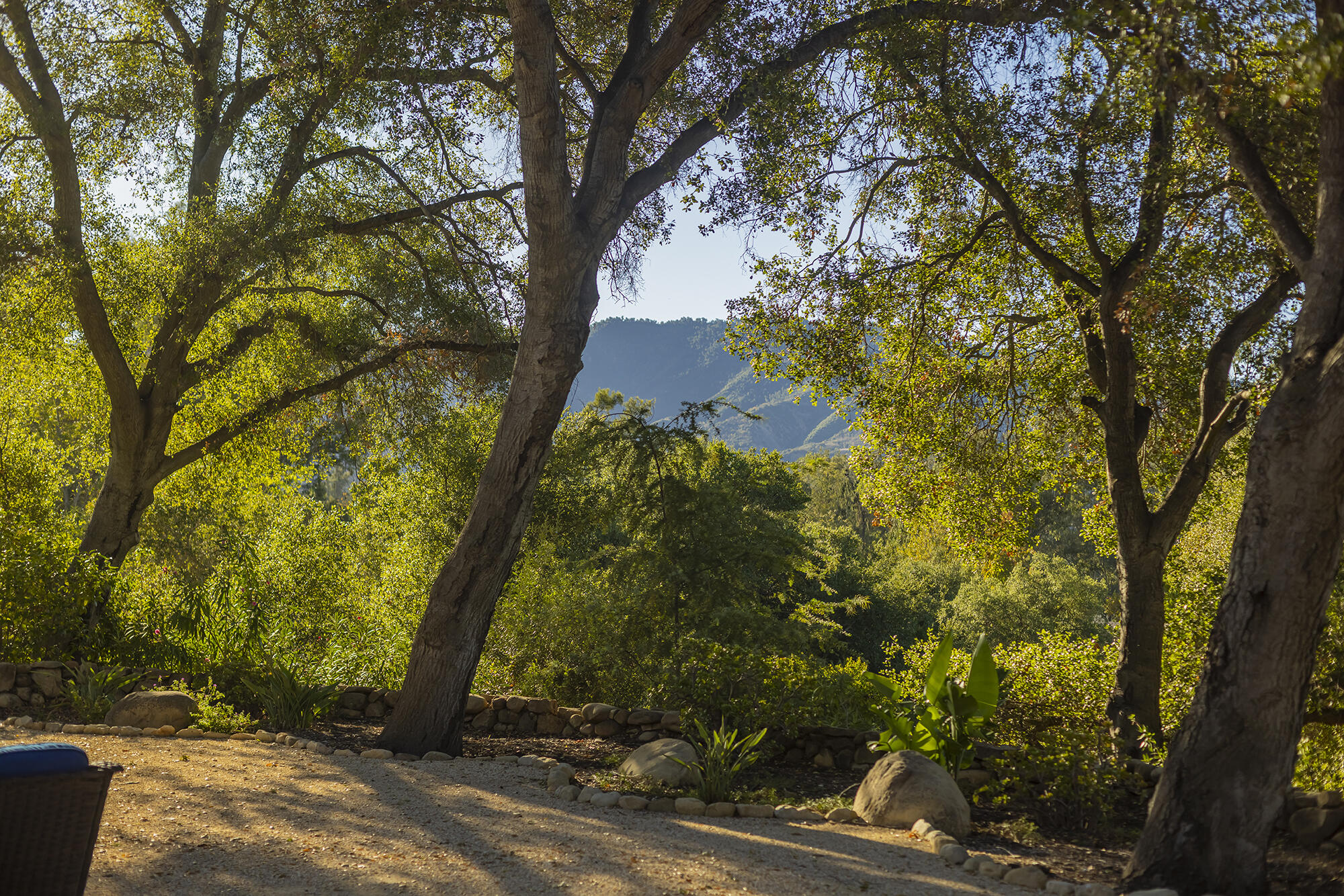 1068 Cuyama Road Ojai, CA 93023 - Photo 5 of 43