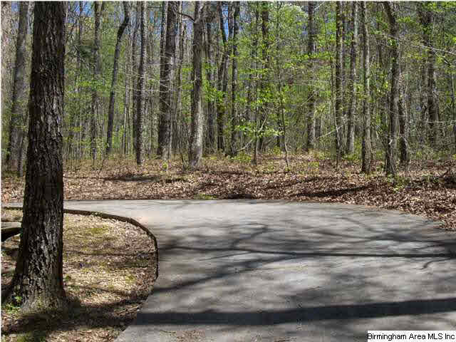 7995 Highway 46 Heflin, AL 36264 - Photo 5 of 32