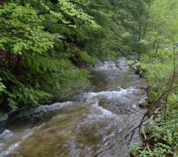View of local wilderness